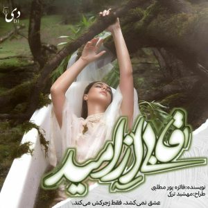 داستان کوتاه قابی از امید | فائزه پورمطلبی کاربر انجمن دیوان