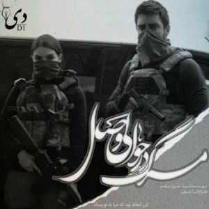 رمان مرگ در حوالی وصال|مبینا امیری مقدم کاربر انجمن دیوان